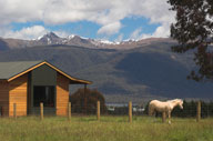 view of the mountains, a cabin, and a Welsh pony 