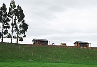 a view of the cottages from the deer paddock